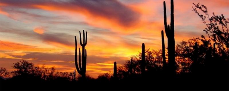 The Perfect Southwest Sunset